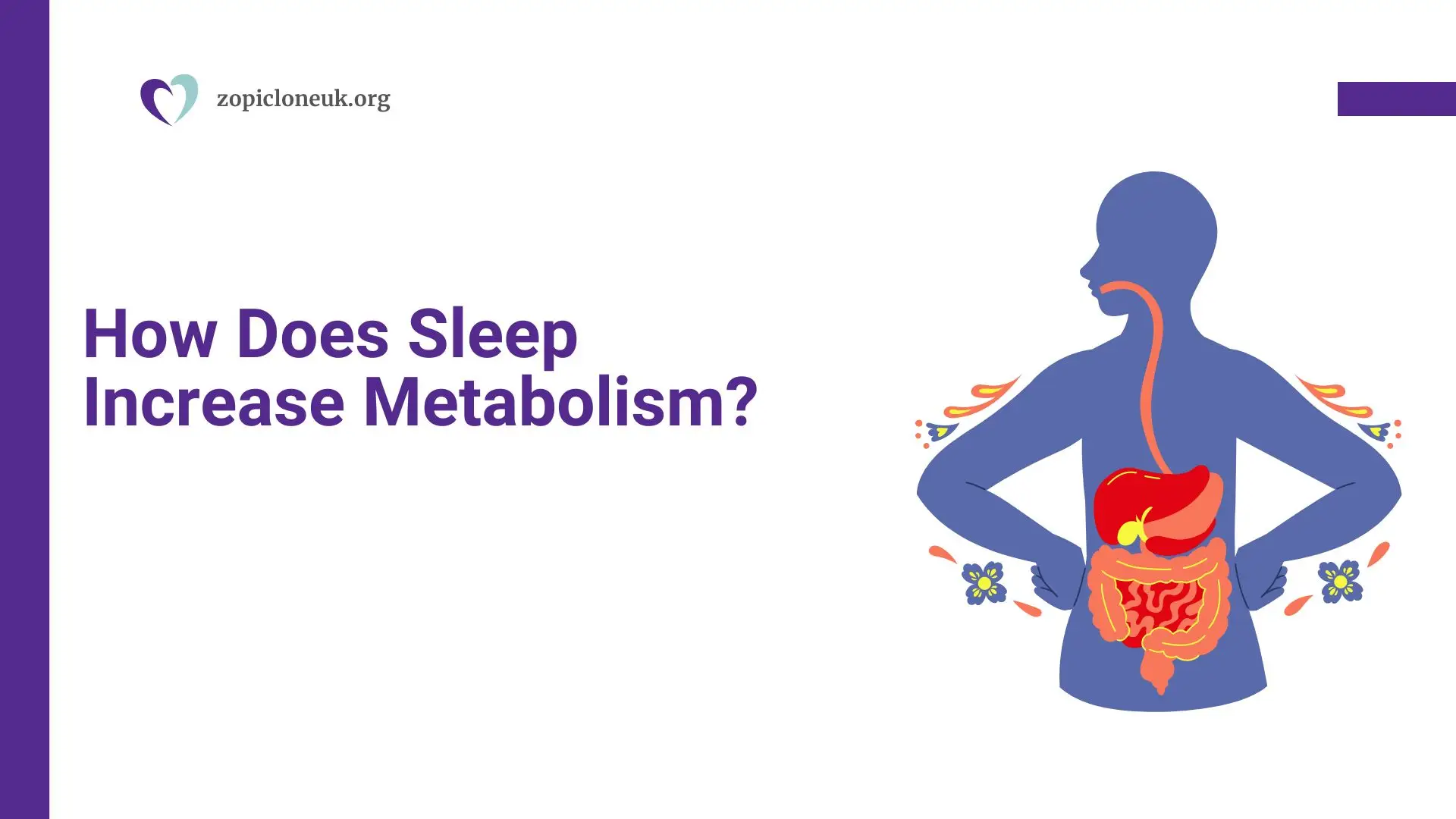 How Does Sleep Increase Metabolism